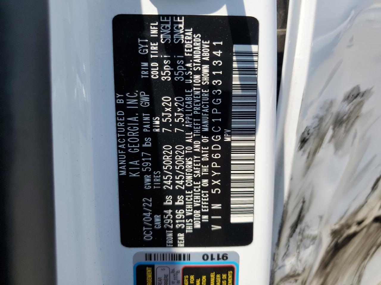 2023 Kia Telluride S VIN: 5XYP6DGC1PG331341 Lot: 64470805