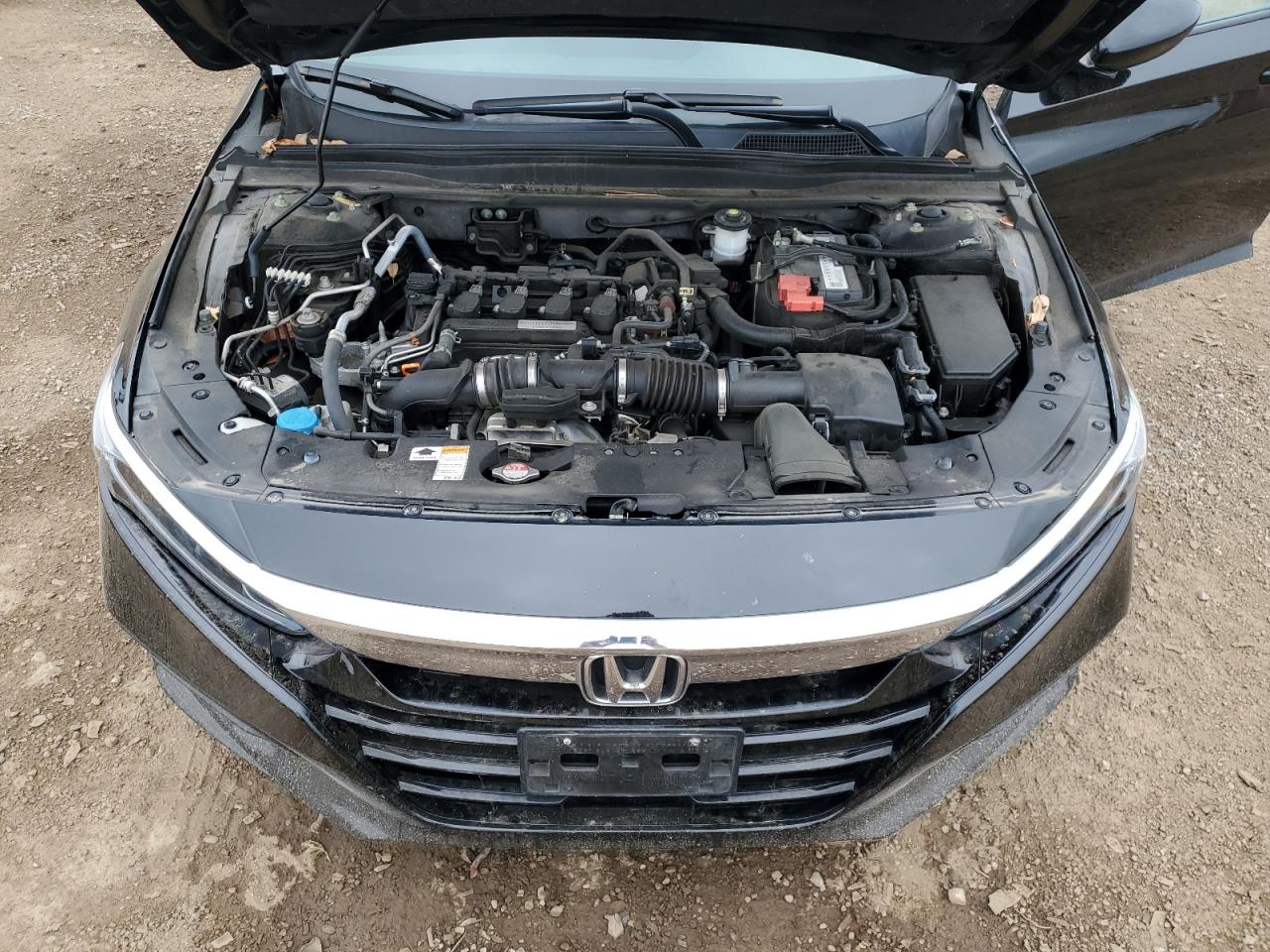 2020 Honda Accord Lx VIN: 1HGCV1F12LA008007 Lot: 65178835