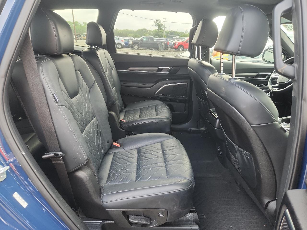 2024 Kia Telluride Sx VIN: 5XYP5DGCXRG421366 Lot: 64772655