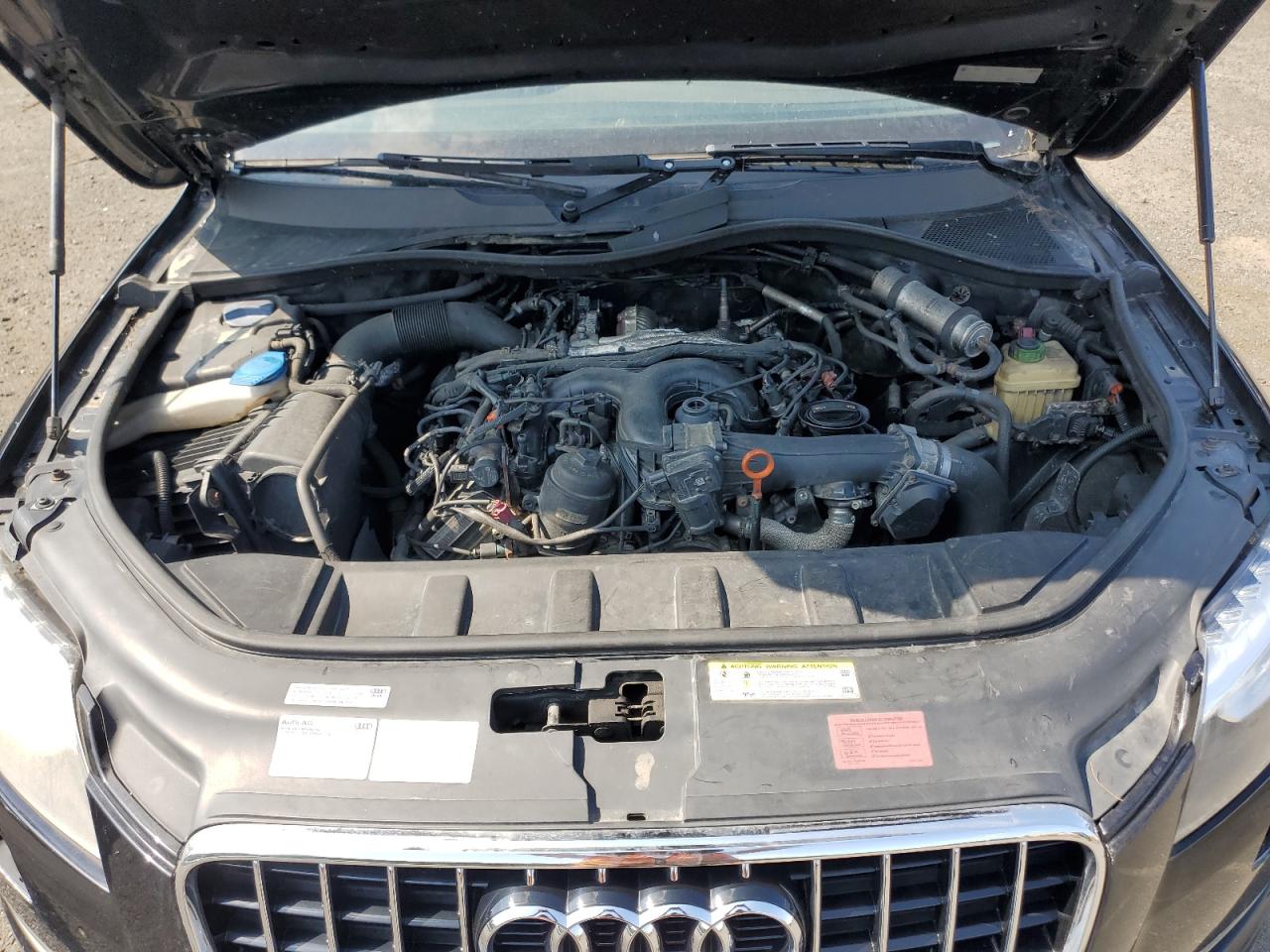 2013 Audi Q7 Premium Plus VIN: WA1LMAFE0DD015875 Lot: 64954215