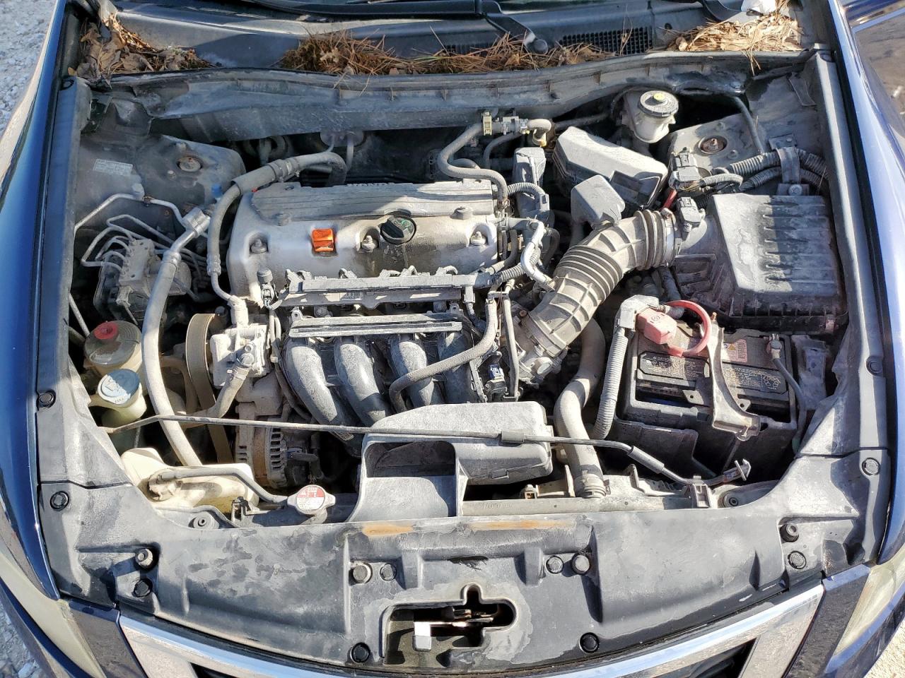 2010 Honda Accord Lxp VIN: 1HGCP2F40AA149231 Lot: 64272185