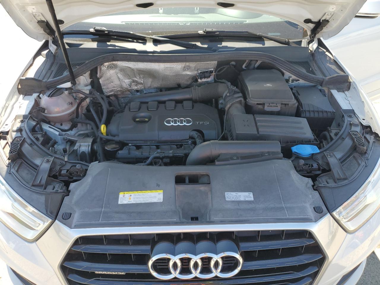 2017 Audi Q3 Premium Plus VIN: WA1JCCFS1HR005022 Lot: 64856455