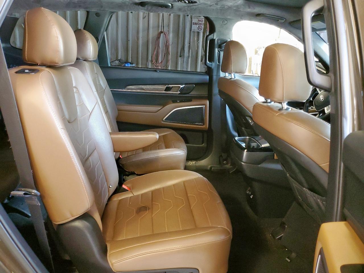 2020 Kia Telluride Sx VIN: 5XYP5DHC4LG065132 Lot: 63984315