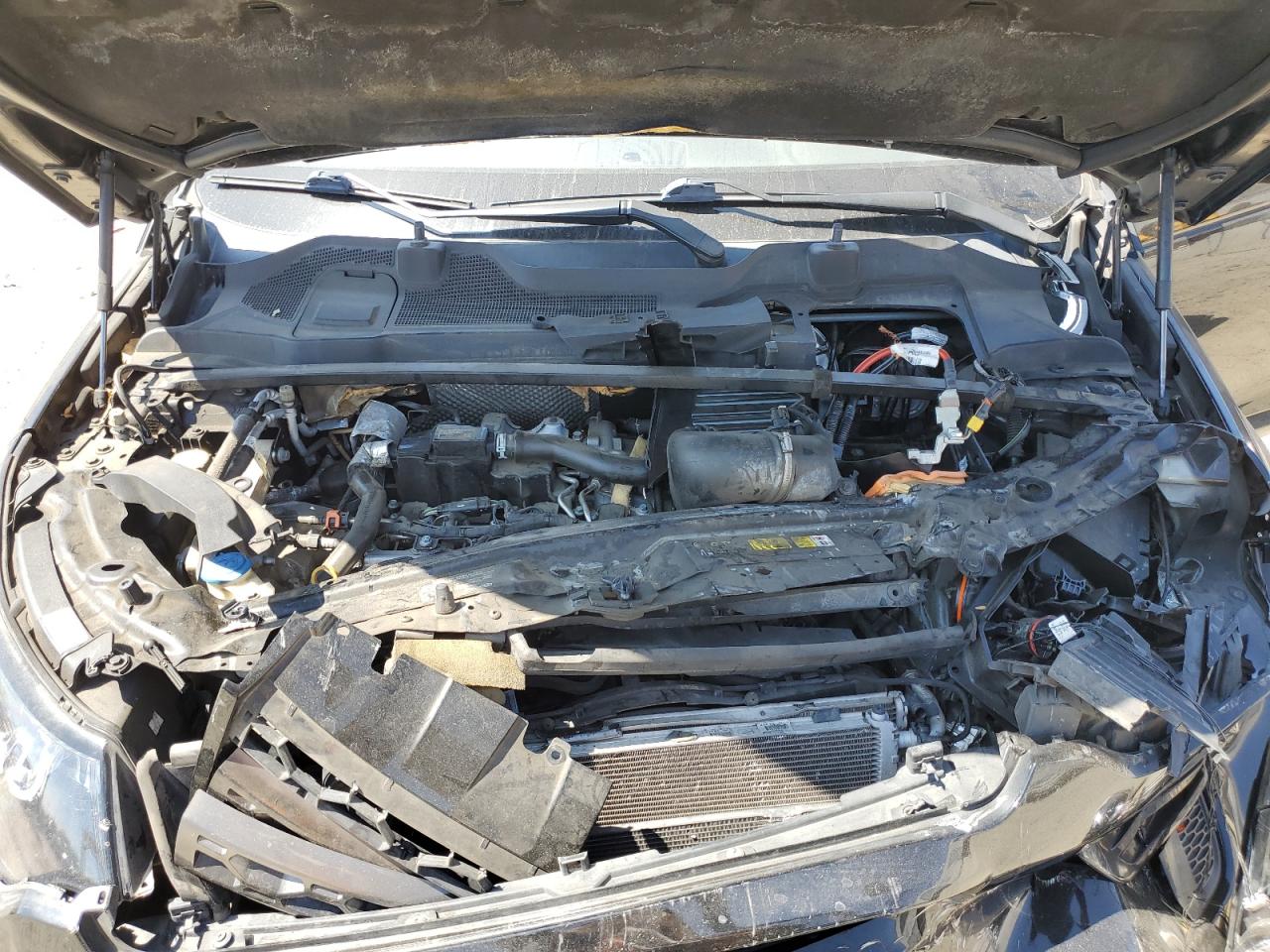 2019 Land Rover Discovery Sport Se VIN: SALCP2FX1KH798255 Lot: 63519065
