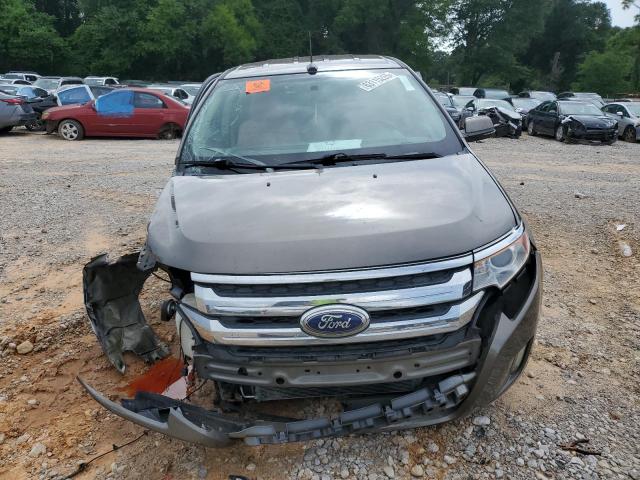 Паркетники FORD EDGE 2014 Золотий