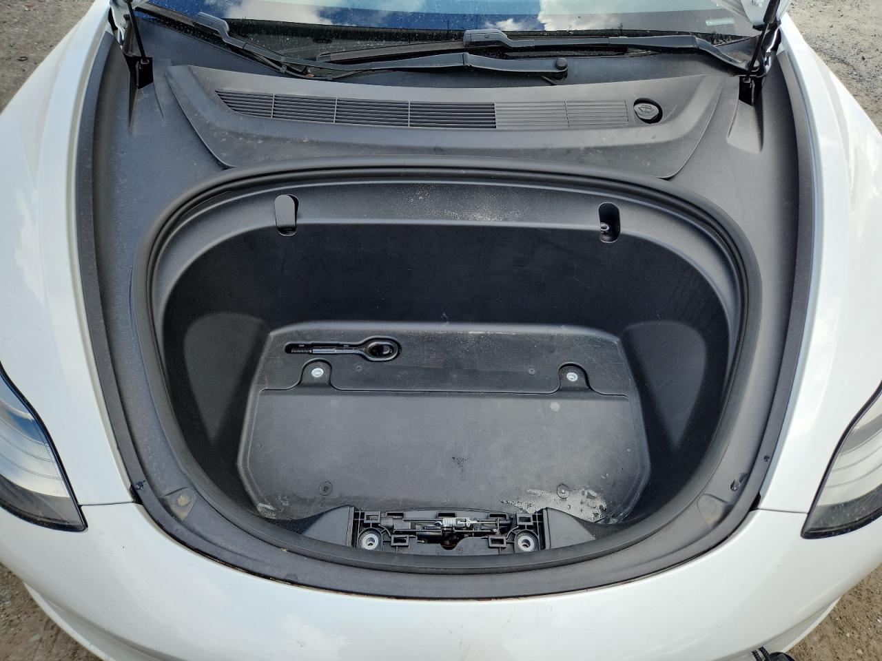 2019 Tesla Model 3 VIN: 5YJ3E1EA3KF484319 Lot: 64718805