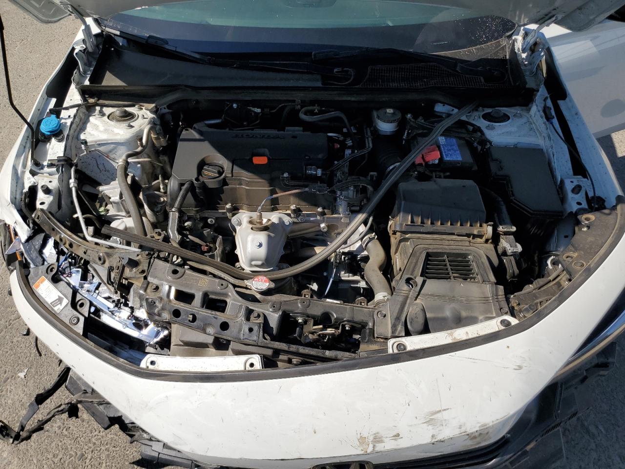 2024 Honda Civic Sport VIN: 2HGFE2F57RH541308 Lot: 65450435