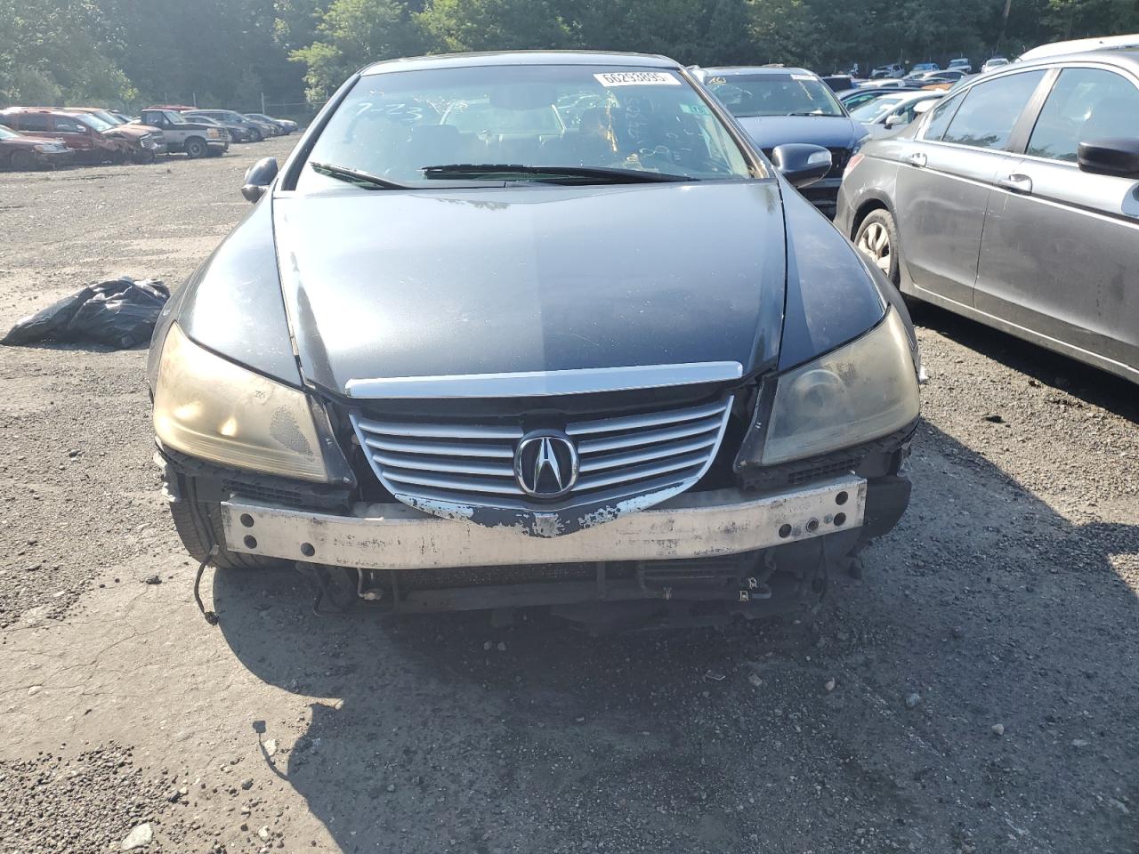 2007 Acura Rl VIN: JH4KB16637C001882 Lot: 66293895