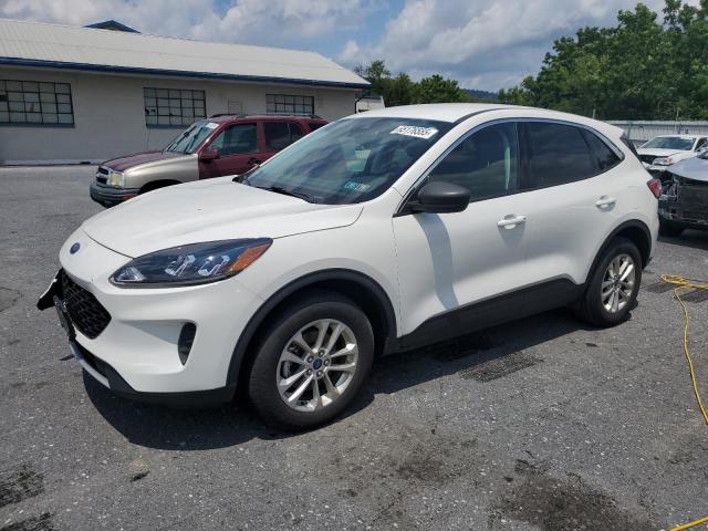 FORD ESCAPE SE 2022