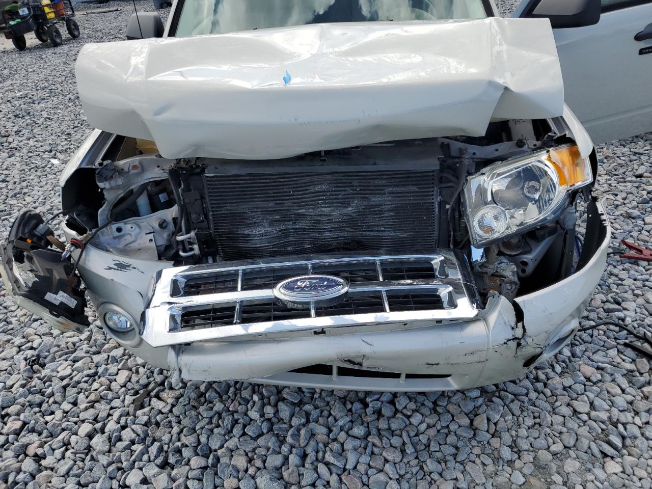 2009 Ford Escape Xlt VIN: 1FMCU93G39KD05925 Lot: 65090155