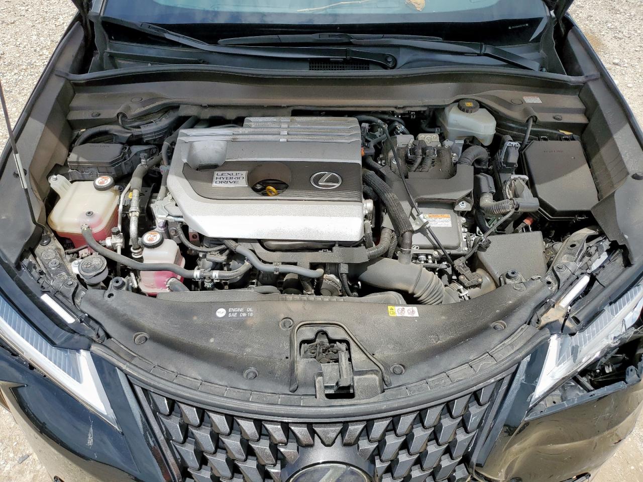 2019 Lexus Ux 250H VIN: JTHU9JBH4K2011833 Lot: 63930555