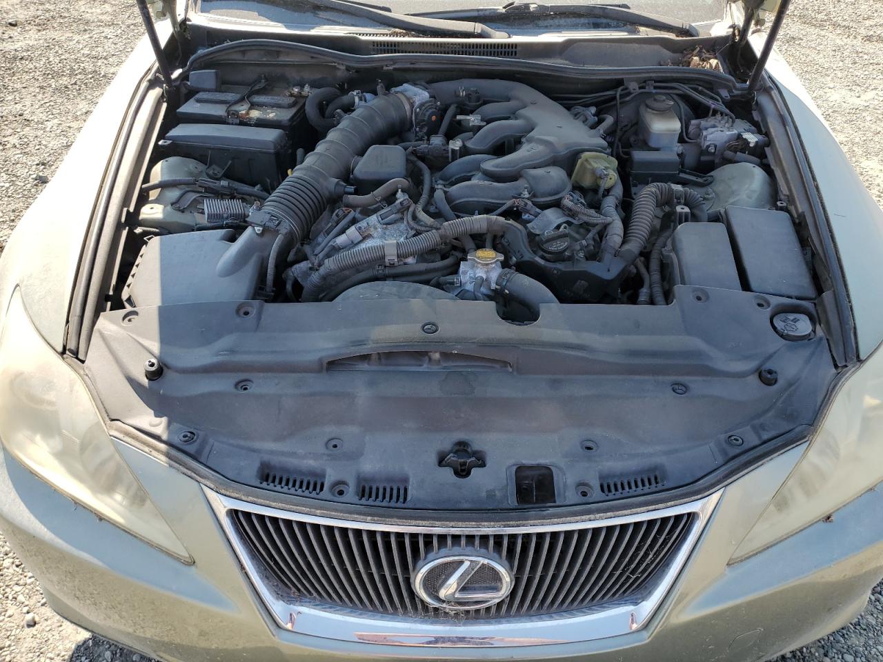 2006 Lexus Is 250 VIN: JTHBK262865012673 Lot: 64866815