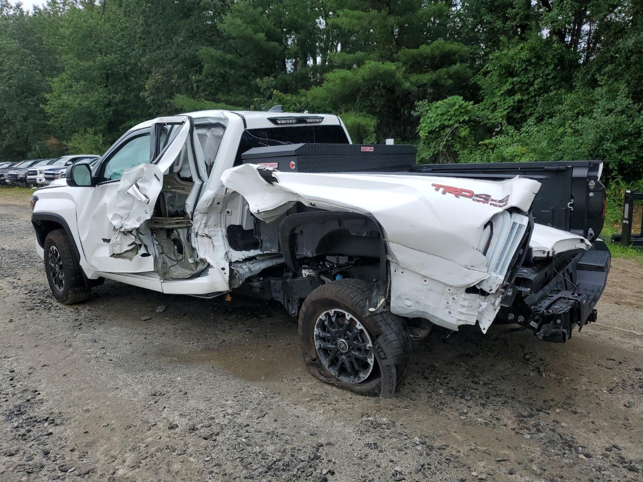 2024 Toyota Tundra Double Cab Sr VIN: 5TFLA5DA8RX130672 Lot: 63569615