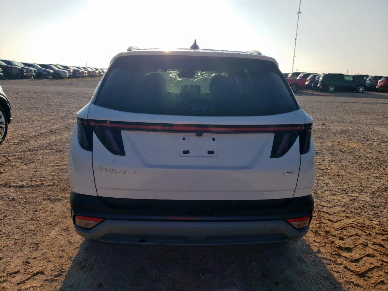 2025 Hyundai Tucson Sel VIN: 3KMJCCDE7SE004718 Lot: 64952135