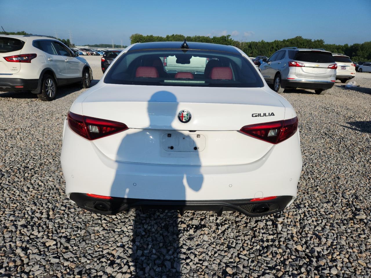 2020 Alfa Romeo Giulia VIN: ZARFAMAN9L7637608 Lot: 66471355