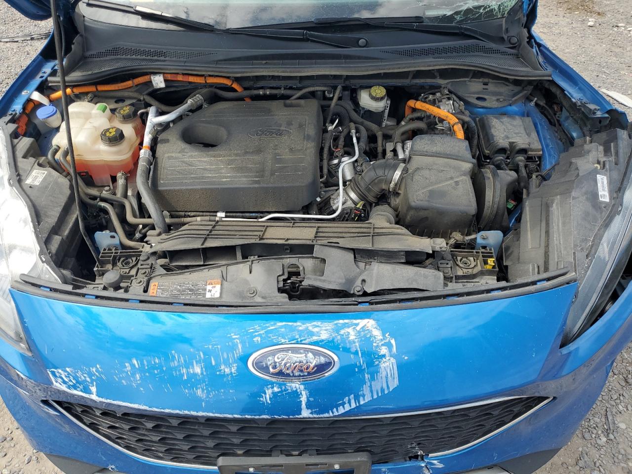 2020 Ford Escape Titanium VIN: 1FMCU9DZ5LUA40288 Lot: 65509645