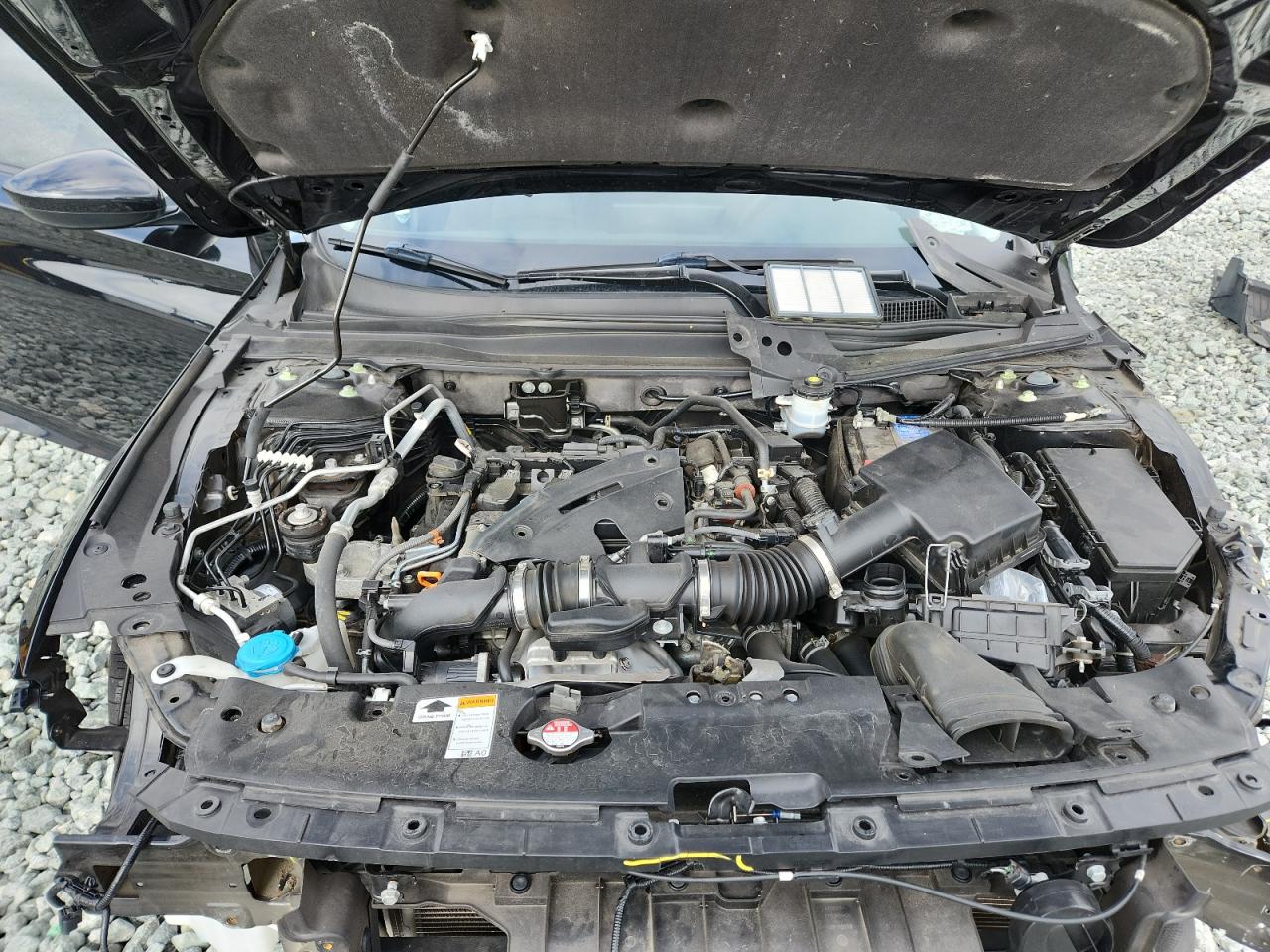 2021 Honda Accord Lx VIN: 1HGCV1F19MA065628 Lot: 65147845