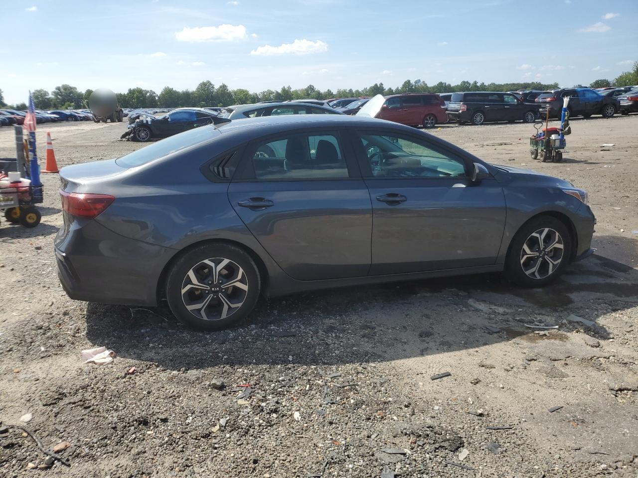 2020 Kia Forte Fe VIN: 3KPF24ADXLE163294 Lot: 66473975