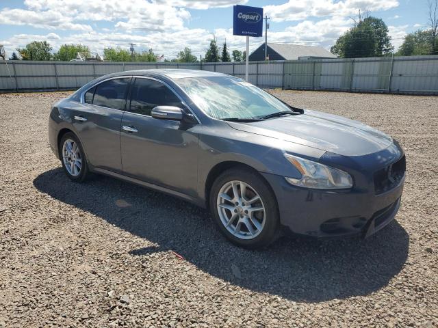 Sedans NISSAN MAXIMA 2014 Szary