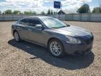 2014 NISSAN MAXIMA S   à vendre chez Copart NY - SYRACUSE