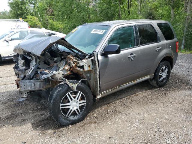 2011 FORD ESCAPE XLT   for sale at Copart ON - COOKSTOWN