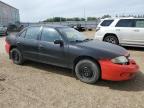 2003 CHEVROLET CAVALIER    à vendre chez Copart AB - EDMONTON