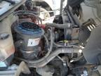 2017 FREIGHTLINER M2 106 MEDIUM DUTY   à vendre chez Copart AZ - PHOENIX