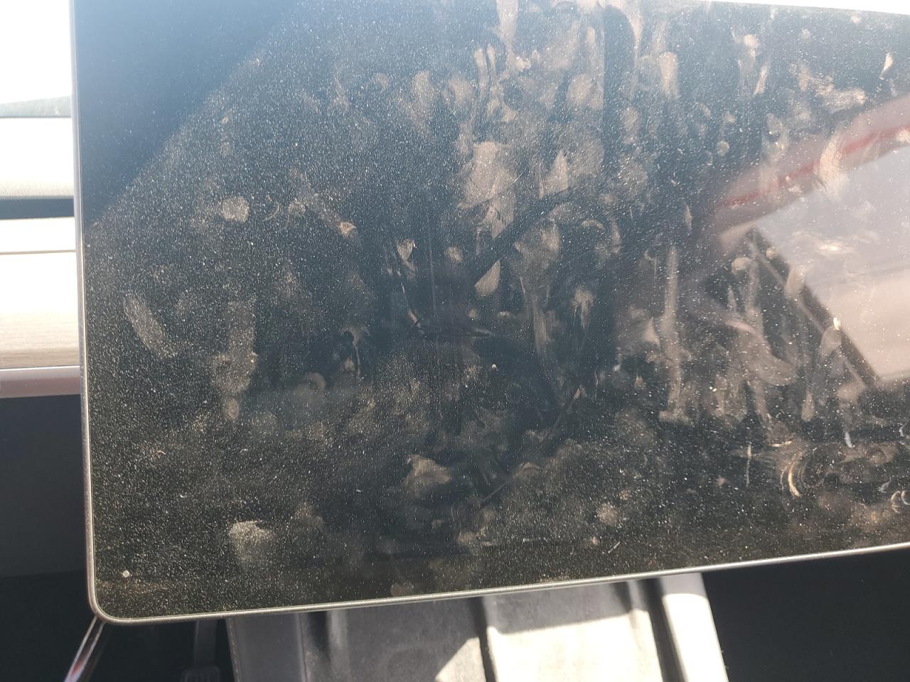 2024 Tesla Model Y VIN: 7SAYGDEE4RA244338 Lot: 66753375