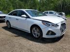 2019 HYUNDAI SONATA LIMITED   à vendre chez Copart ON - COOKSTOWN