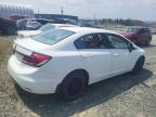 2014 HONDA CIVIC LX   for sale at Copart NL - ST. JOHN'S