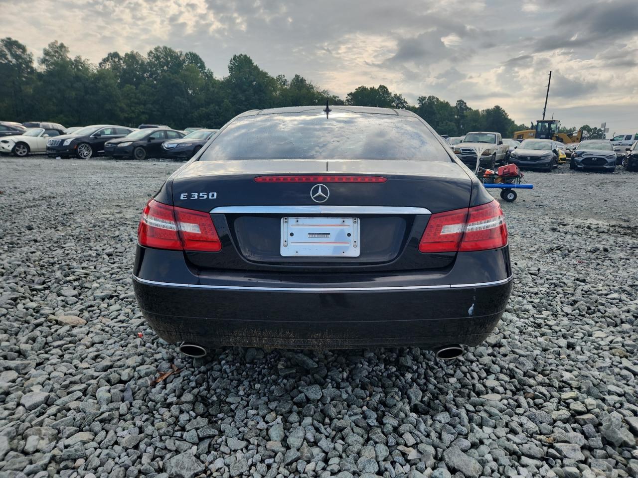 2010 Mercedes-Benz E 350 VIN: WDDKJ5GB2AF013265 Lot: 64382395