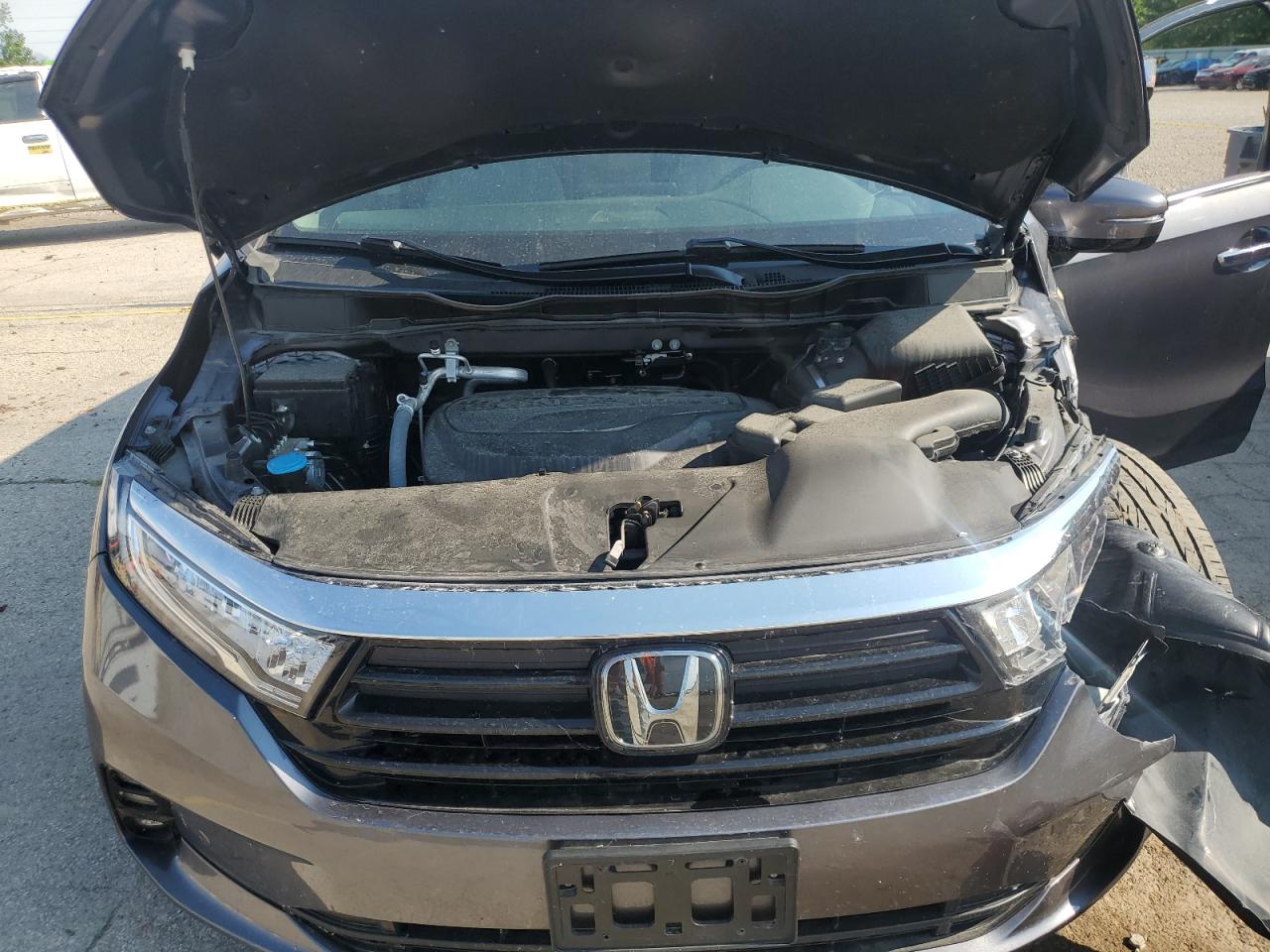 2024 Honda Odyssey Elite VIN: 5FNRL6H97RB004761 Lot: 65289605