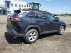 2019 TOYOTA RAV4 XLE   à vendre chez Copart QC - MONTREAL