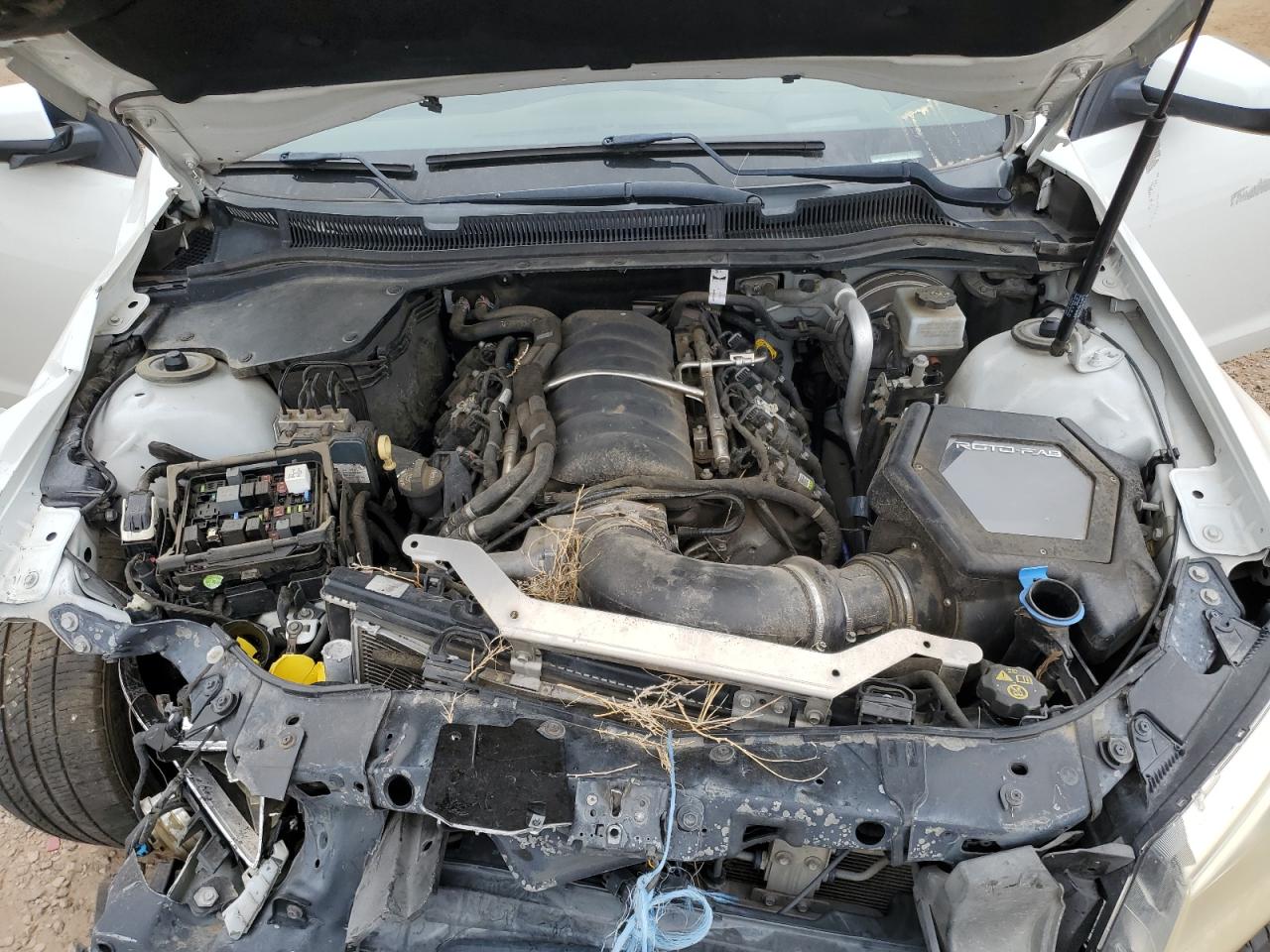 2014 Chevrolet Ss VIN: 6G3F15RW7EL956984 Lot: 66720795