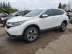 2019 HONDA CR-V LX   for sale at Copart ON - TORONTO