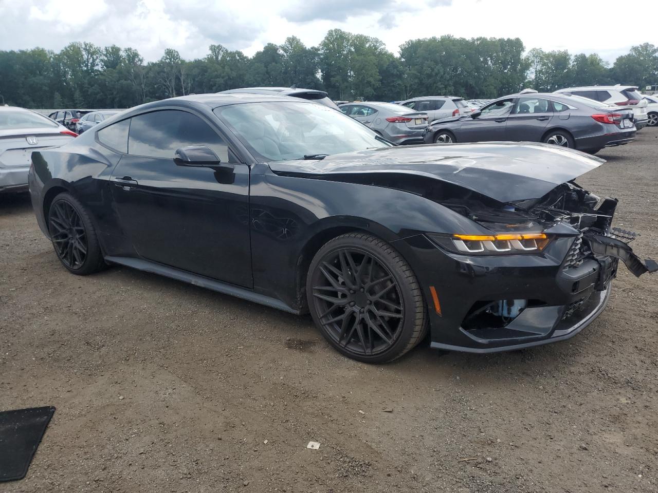 2024 Ford Mustang VIN: 1FA6P8TH8R5102674 Lot: 63160105