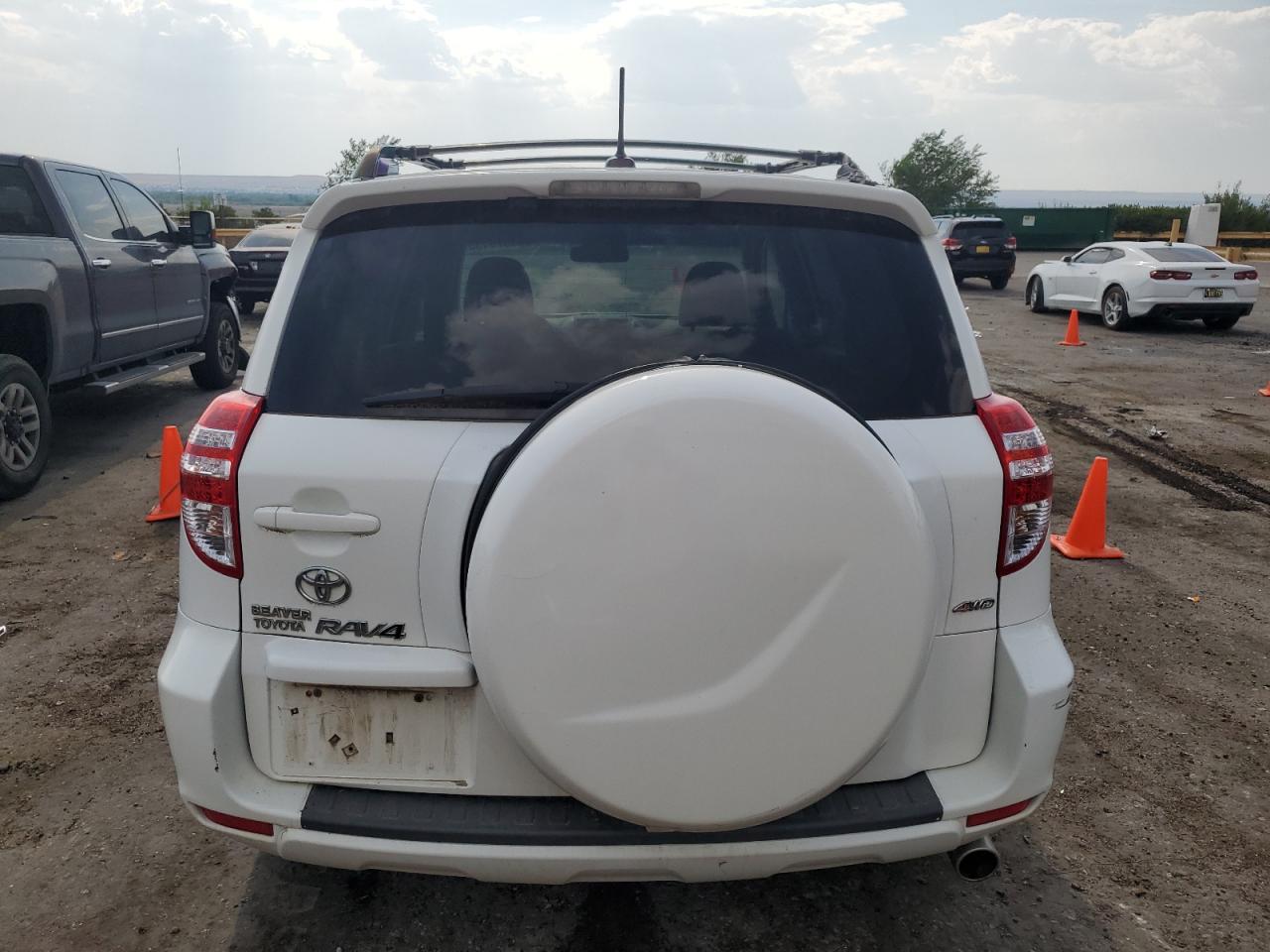 2009 Toyota Rav4 VIN: JTMBF33V69D006598 Lot: 64679155