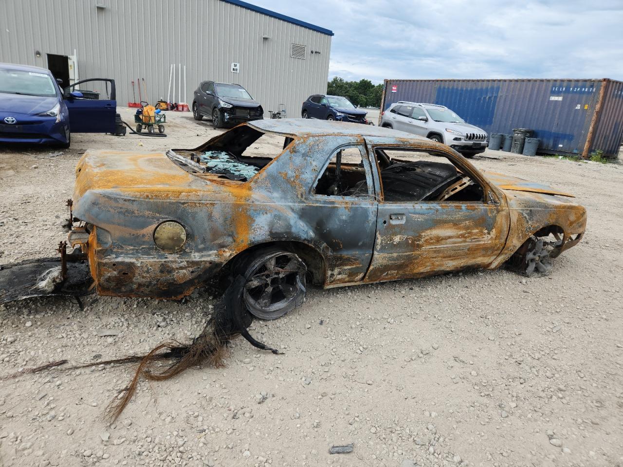 1987 Ford Thunderbird VIN: 1FABP64W7HH141124 Lot: 66017495