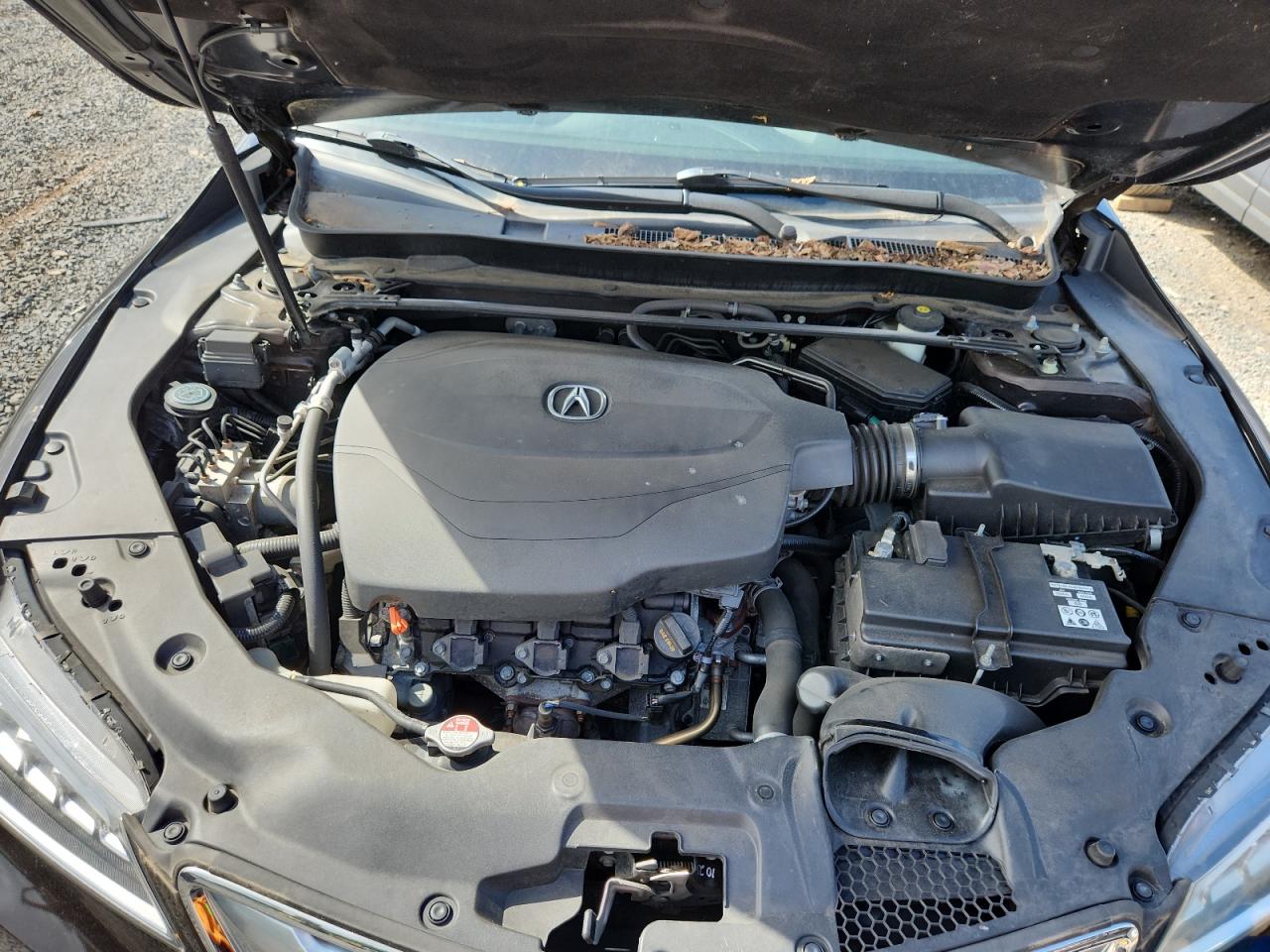 2015 Acura Tlx Tech VIN: 19UUB3F50FA002013 Lot: 63240445