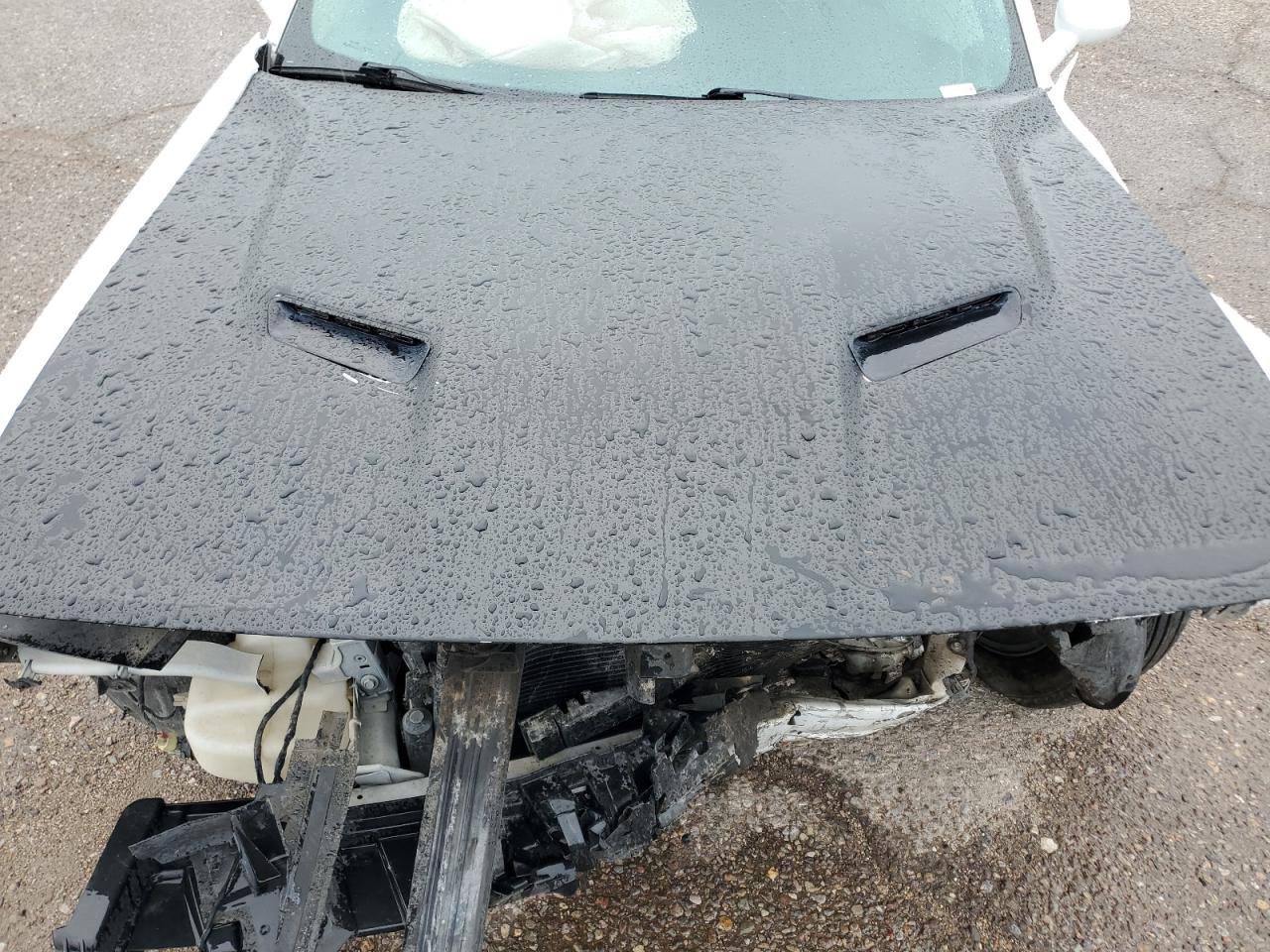 2019 Dodge Challenger Sxt VIN: 2C3CDZAG7KH733909 Lot: 65081825