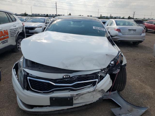 Sedans KIA OPTIMA 2013 White