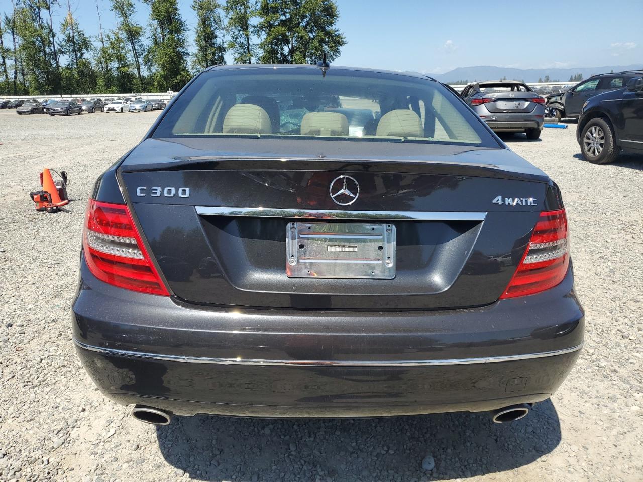 2013 Mercedes-Benz C 300 4Matic VIN: WDDGF8AB6DR251348 Lot: 65411795