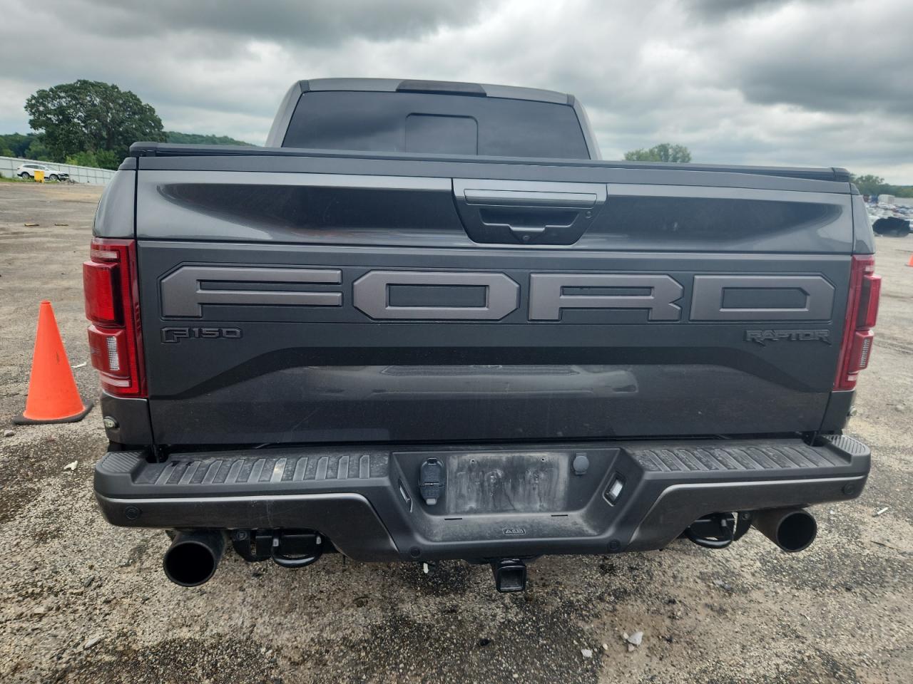 2019 Ford F150 Raptor VIN: 1FTFW1RG9KFC8084 Lot: 64244275