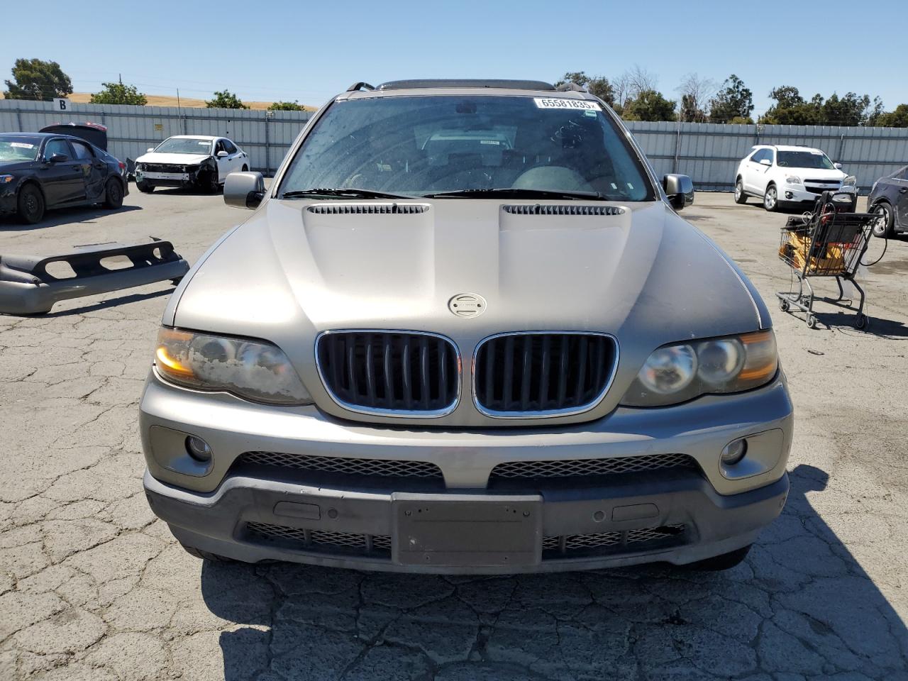 2005 BMW X5 3.0I VIN: 5UXFA13595LY23664 Lot: 65581835