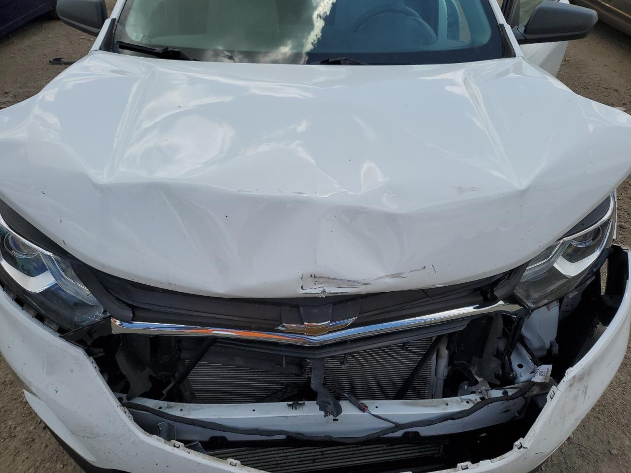 2020 Chevrolet Equinox Ls VIN: 3GNAXHEVXLS676897 Lot: 65534485