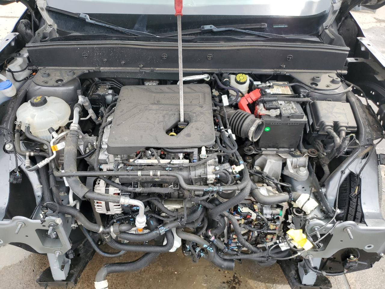 2021 Ford Bronco Sport Big Bend VIN: 3FMCR9B67MRA08042 Lot: 66527555