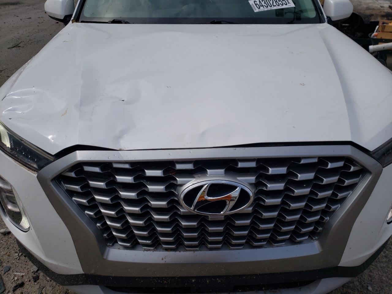 2020 Hyundai Palisade Se VIN: KM8R1DHE0LU055049 Lot: 64302855