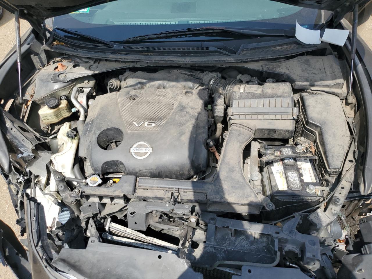 2010 Nissan Maxima S VIN: 1N4AA5AP7AC834220 Lot: 64742845