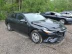 2025 HYUNDAI ELANTRA SEL SPORT   à vendre chez Copart ON - COOKSTOWN