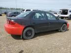 2003 CHEVROLET CAVALIER    à vendre chez Copart AB - EDMONTON